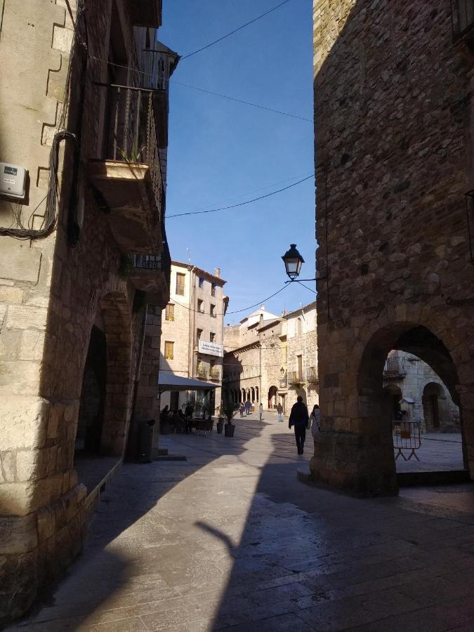 Apartament Can Mingu 2On Pis Besalú Екстериор снимка